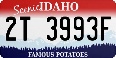 ID license plate 2T3993F