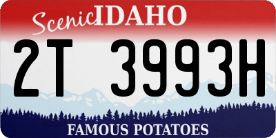 ID license plate 2T3993H