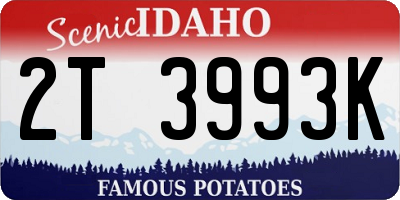 ID license plate 2T3993K