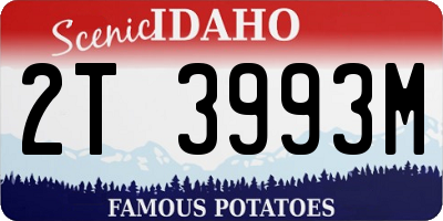 ID license plate 2T3993M