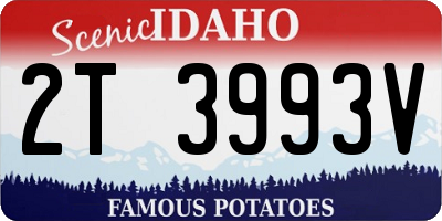 ID license plate 2T3993V