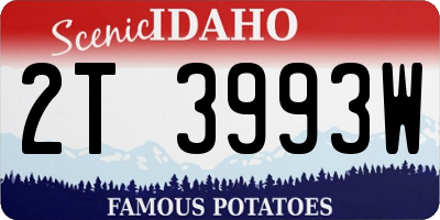 ID license plate 2T3993W