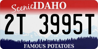 ID license plate 2T3995T