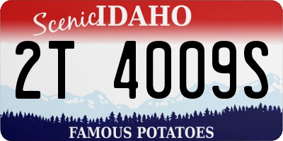 ID license plate 2T4009S