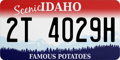 ID license plate 2T4029H