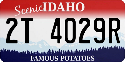 ID license plate 2T4029R