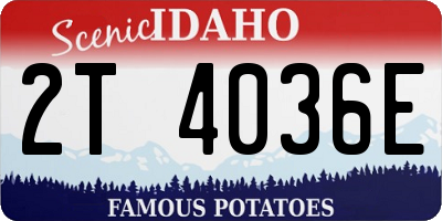 ID license plate 2T4036E