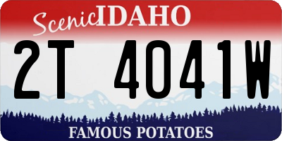ID license plate 2T4041W