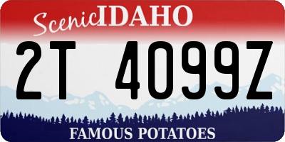 ID license plate 2T4099Z