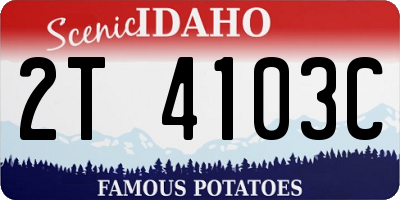 ID license plate 2T4103C