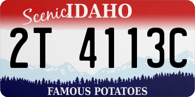 ID license plate 2T4113C