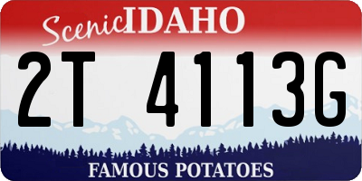 ID license plate 2T4113G