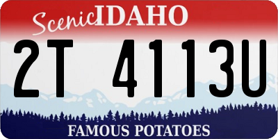ID license plate 2T4113U