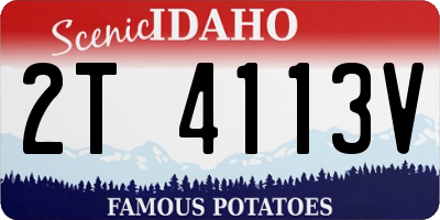 ID license plate 2T4113V