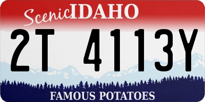 ID license plate 2T4113Y