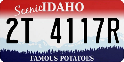 ID license plate 2T4117R