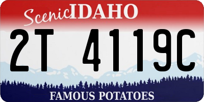 ID license plate 2T4119C