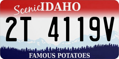 ID license plate 2T4119V