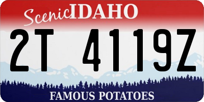 ID license plate 2T4119Z