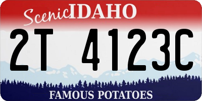 ID license plate 2T4123C