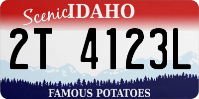 ID license plate 2T4123L