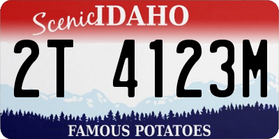 ID license plate 2T4123M