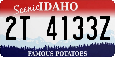 ID license plate 2T4133Z