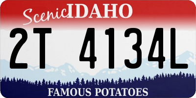 ID license plate 2T4134L