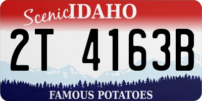 ID license plate 2T4163B