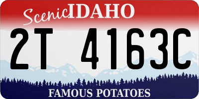 ID license plate 2T4163C