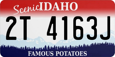 ID license plate 2T4163J