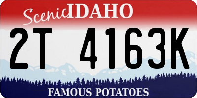 ID license plate 2T4163K