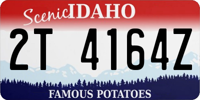 ID license plate 2T4164Z