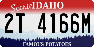 ID license plate 2T4166M