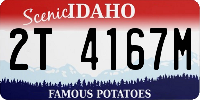 ID license plate 2T4167M