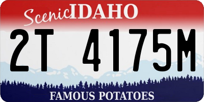 ID license plate 2T4175M