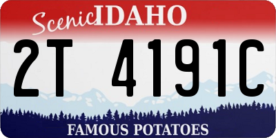 ID license plate 2T4191C