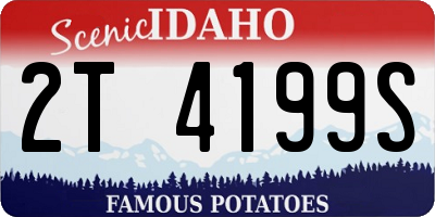 ID license plate 2T4199S