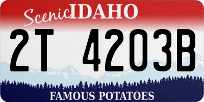ID license plate 2T4203B