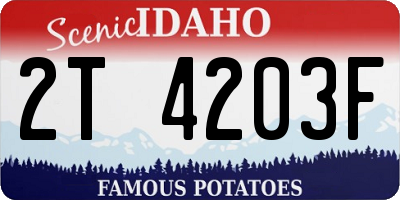 ID license plate 2T4203F