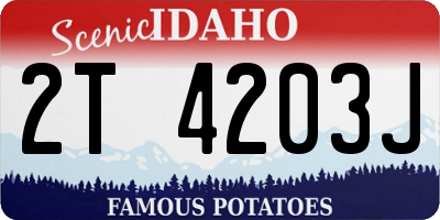 ID license plate 2T4203J