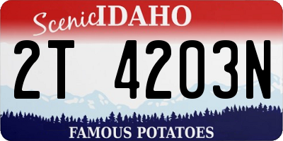 ID license plate 2T4203N