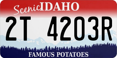 ID license plate 2T4203R