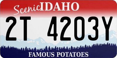 ID license plate 2T4203Y