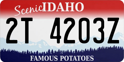 ID license plate 2T4203Z