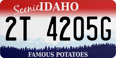 ID license plate 2T4205G