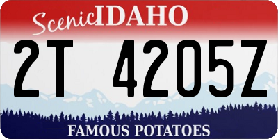 ID license plate 2T4205Z