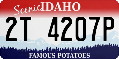 ID license plate 2T4207P