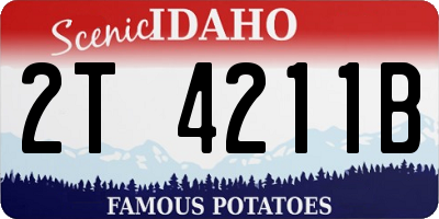 ID license plate 2T4211B
