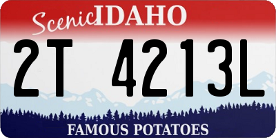 ID license plate 2T4213L